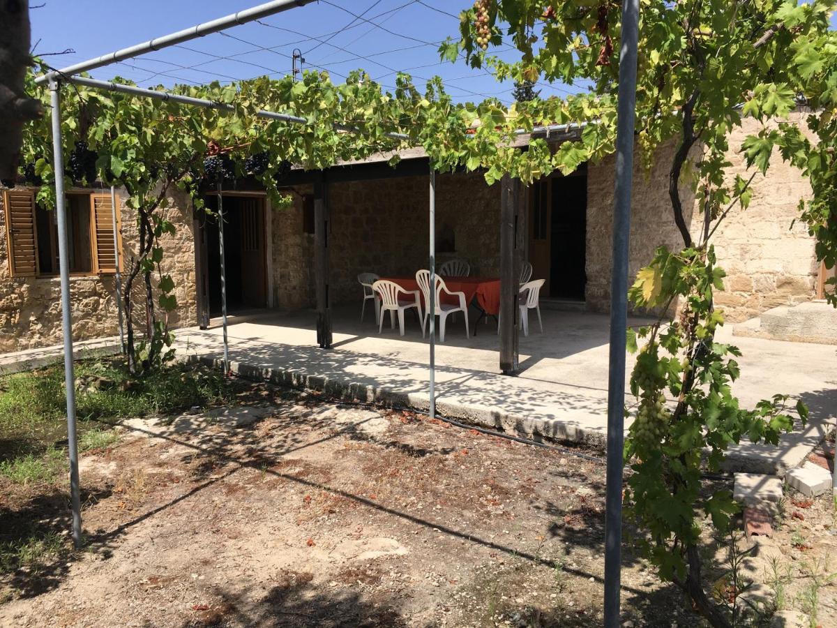 Paphos Friendly Villagehouse מראה חיצוני תמונה