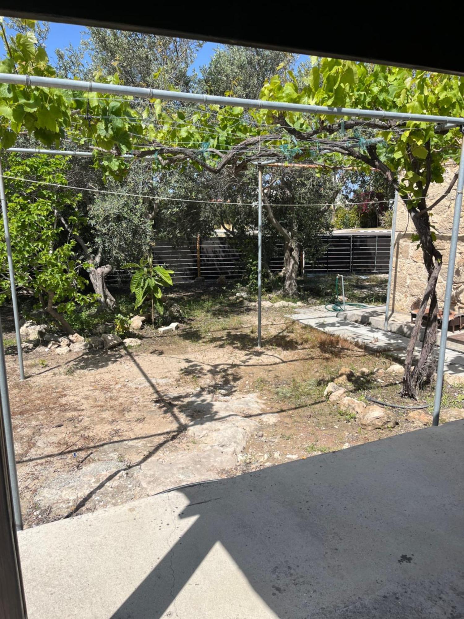 Paphos Friendly Villagehouse מראה חיצוני תמונה